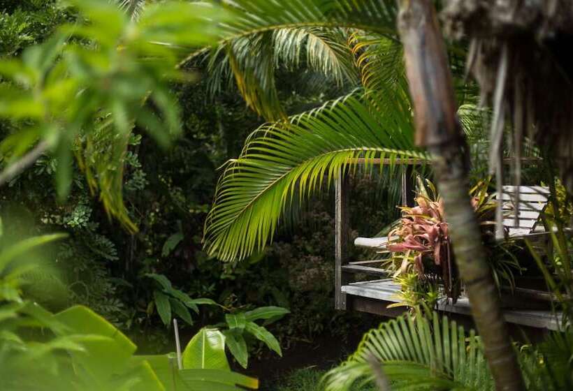 پانسیون Rohotu Fare