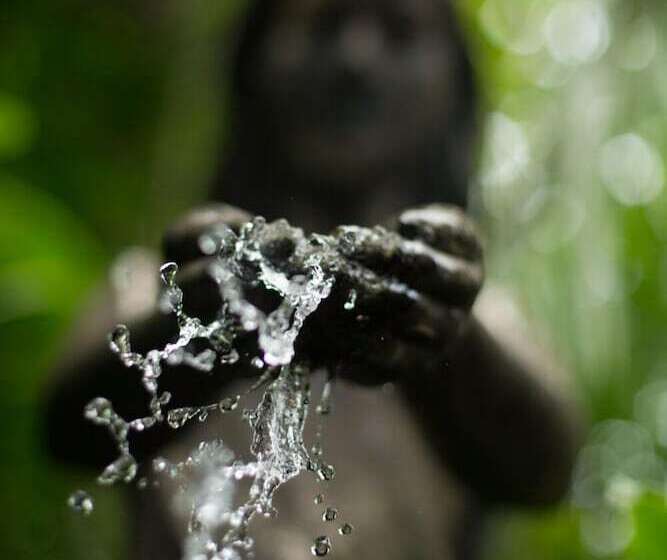 پانسیون Rohotu Fare