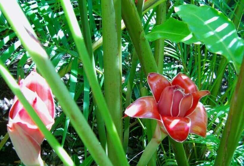 پانسیون Rohotu Fare