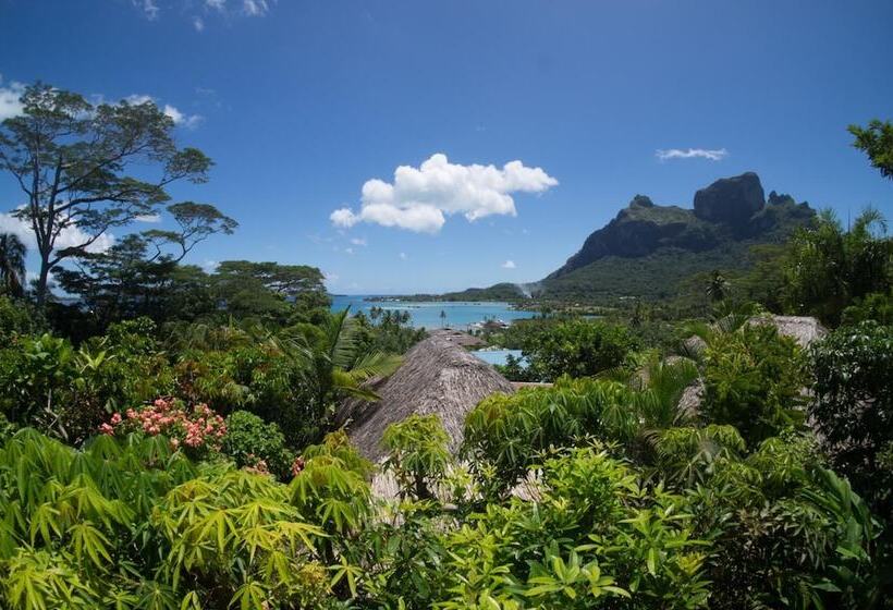 پانسیون Rohotu Fare