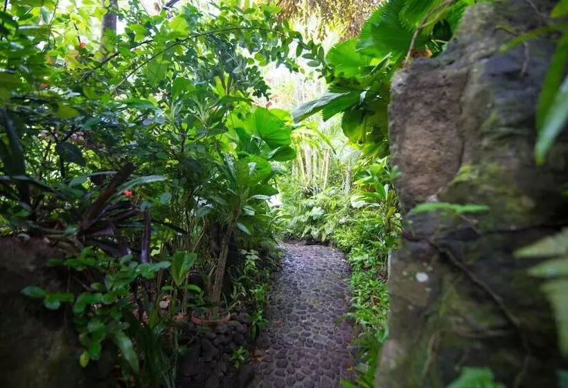 پانسیون Rohotu Fare