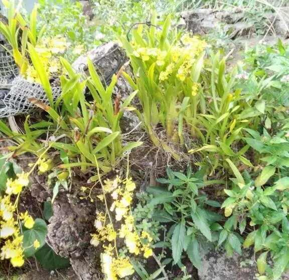 پانسیون Les Elles Guesthouse Self Catering