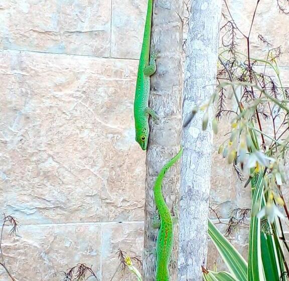 Majatalo Les Elles Guesthouse Self Catering