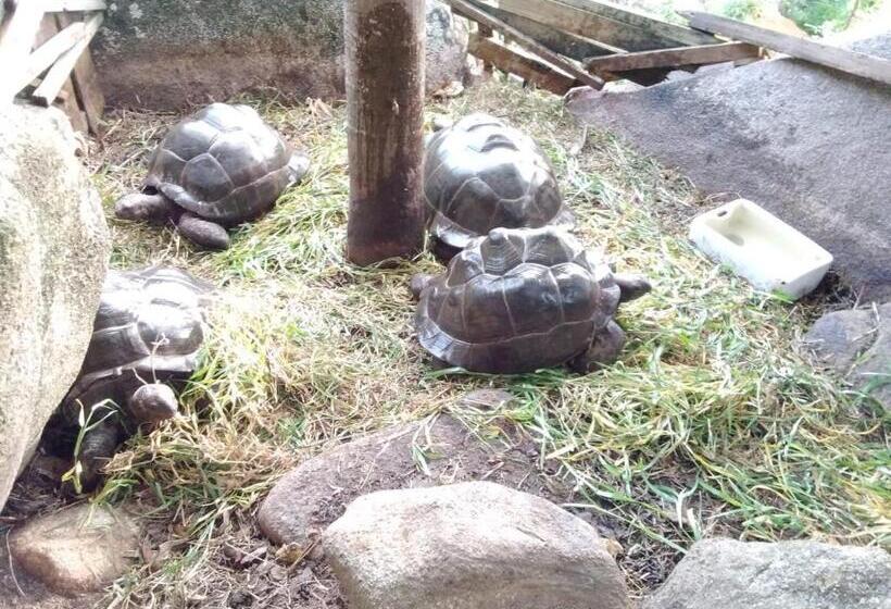 Majatalo Les Elles Guesthouse Self Catering