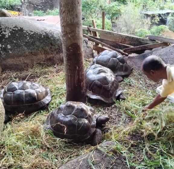 Majatalo Les Elles Guesthouse Self Catering