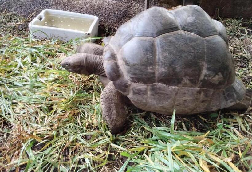 Majatalo Les Elles Guesthouse Self Catering