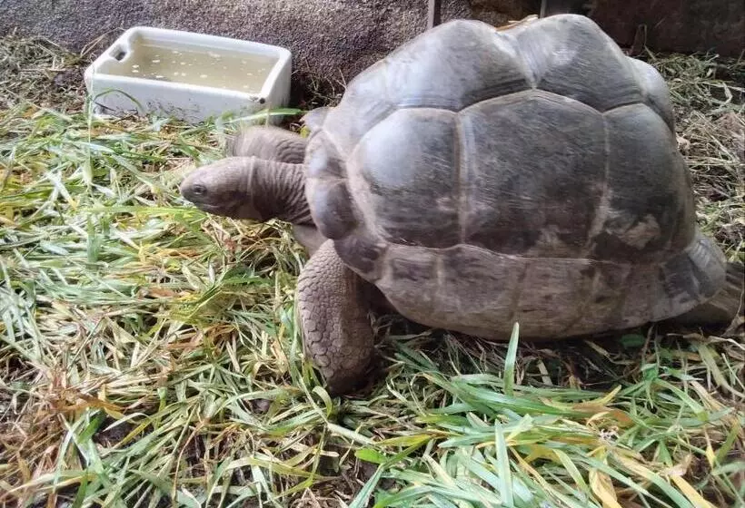 پانسیون Les Elles Guesthouse Self Catering