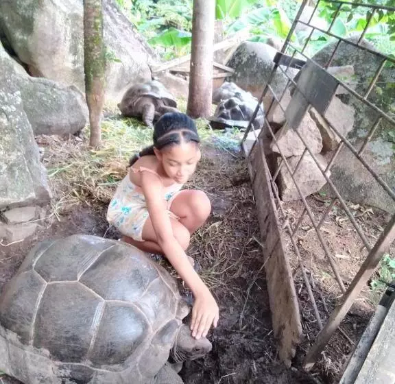 پانسیون Les Elles Guesthouse Self Catering