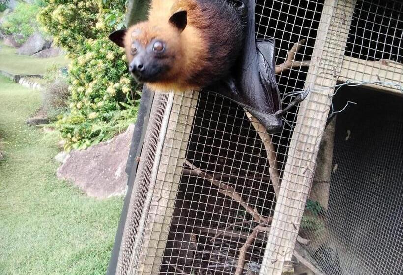 Majatalo Les Elles Guesthouse Self Catering