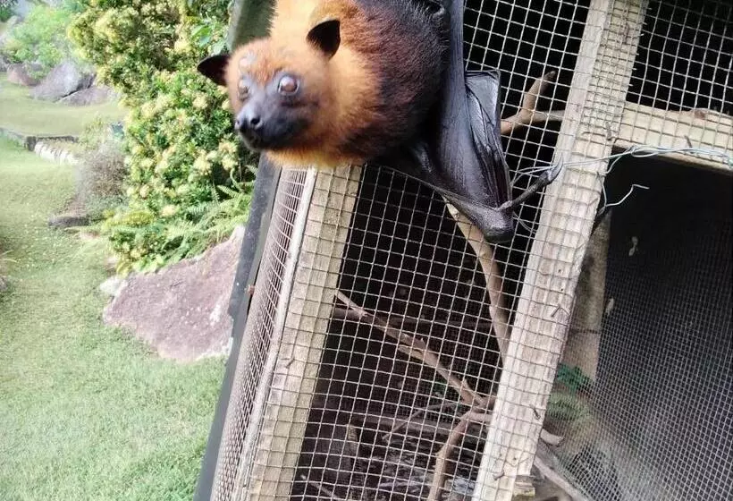 پانسیون Les Elles Guesthouse Self Catering