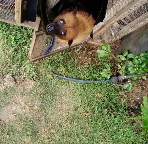 پانسیون Les Elles Guesthouse Self Catering