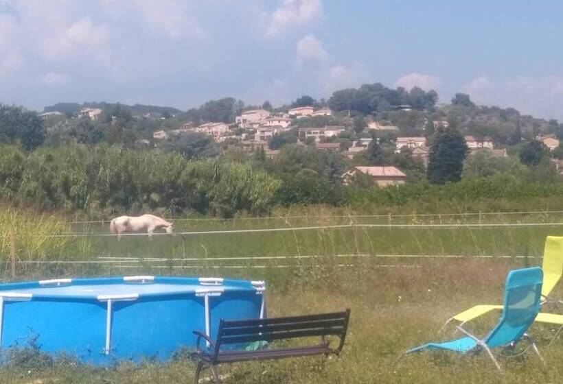 ベッドアンドブレックファースト Gîte Mas De Bruguerolle