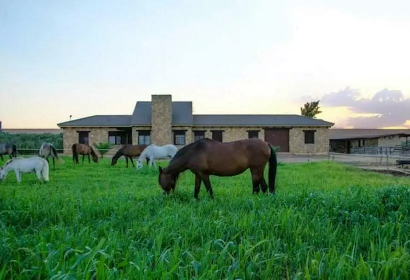 Casa Ecuestre Carmen Martínez