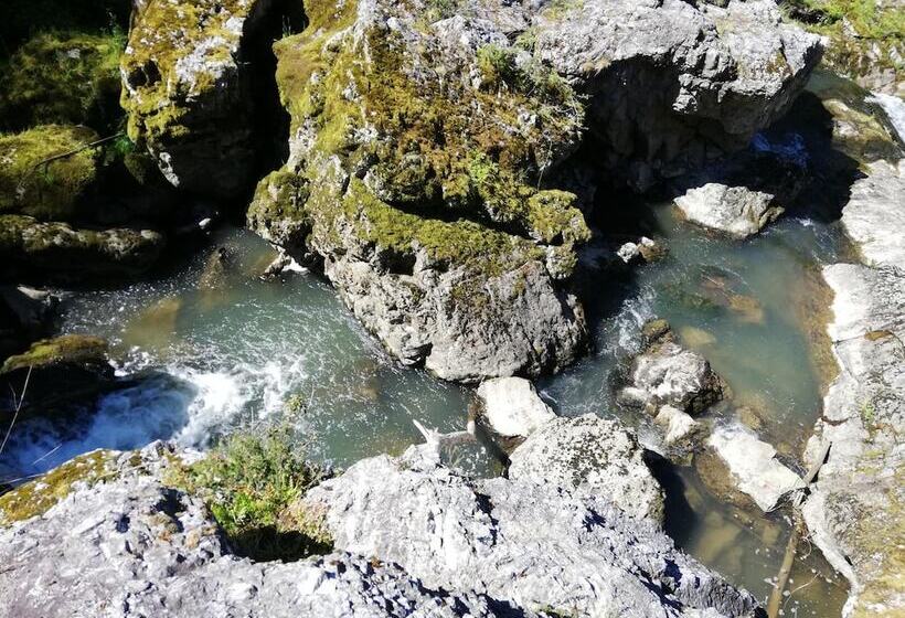 Bed and Breakfast Domaine Abartiague