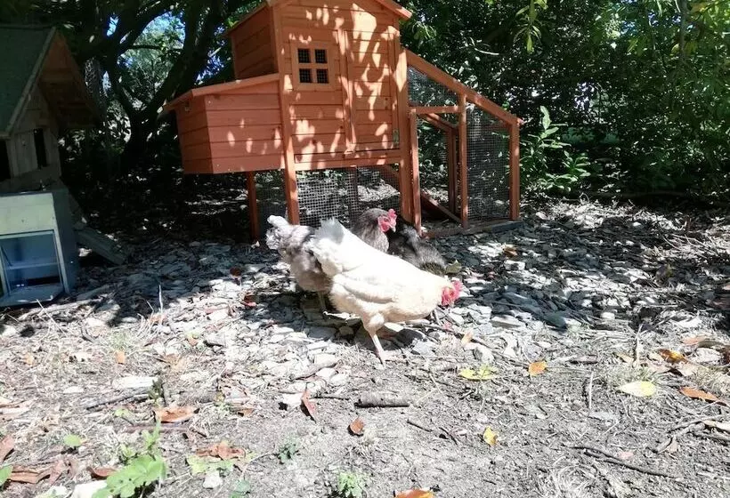 Aamiaismajoitus (B&B) Domaine Abartiague