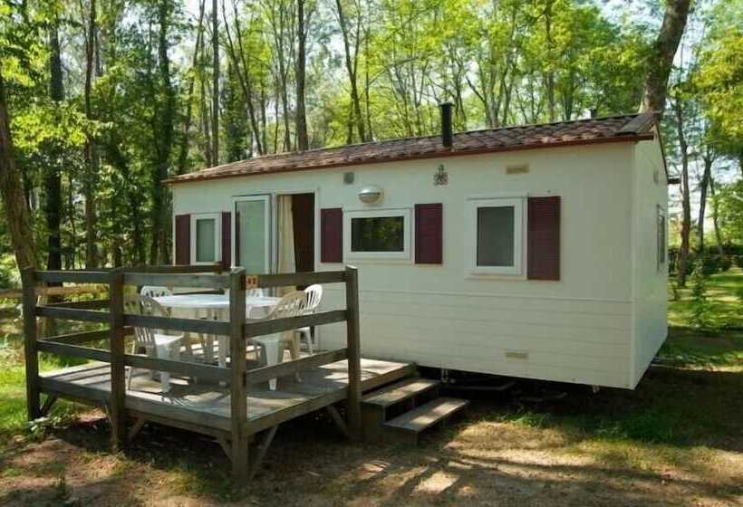 호텔 Camping Le Pin