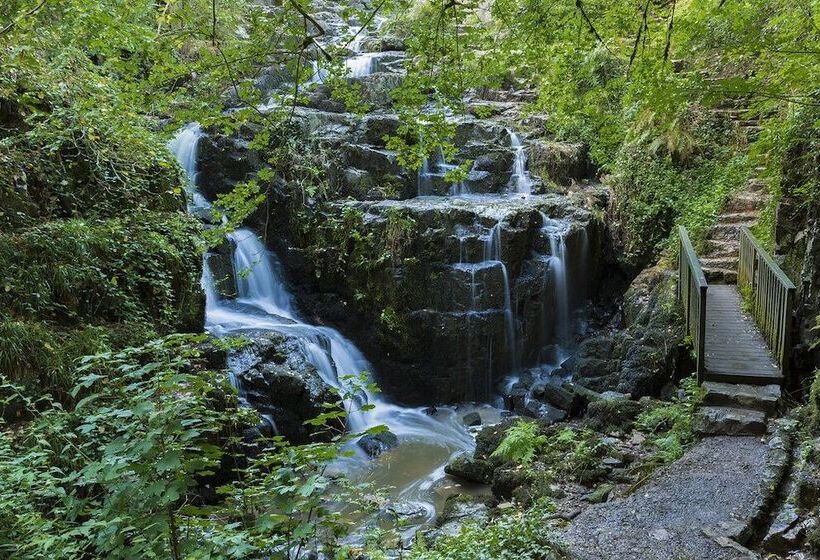 膳宿费 La Brocherie