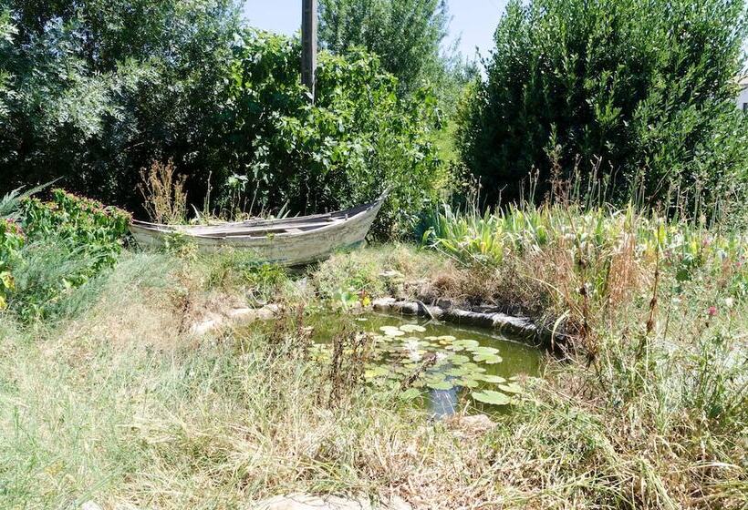 민박 Mas Abicou Chambres D Hôtes