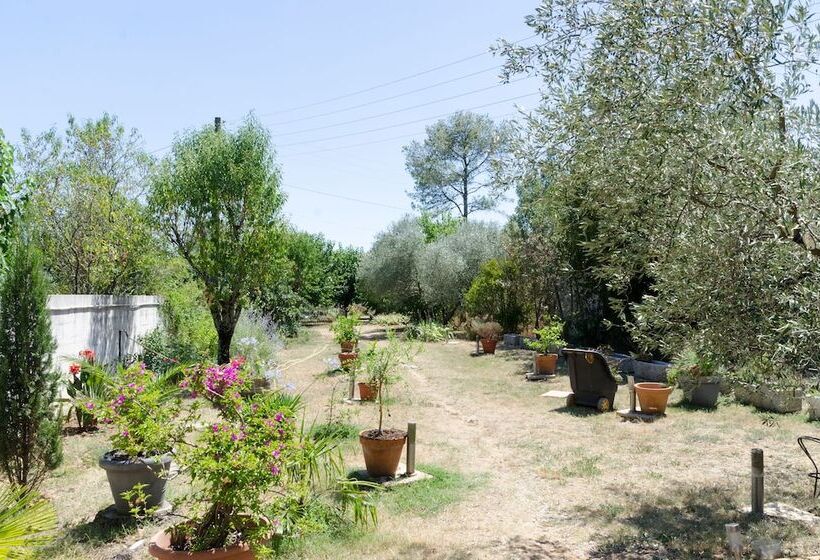 민박 Mas Abicou Chambres D Hôtes