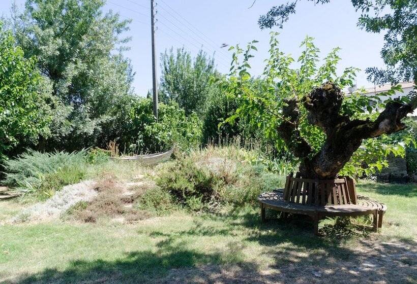 민박 Mas Abicou Chambres D Hôtes