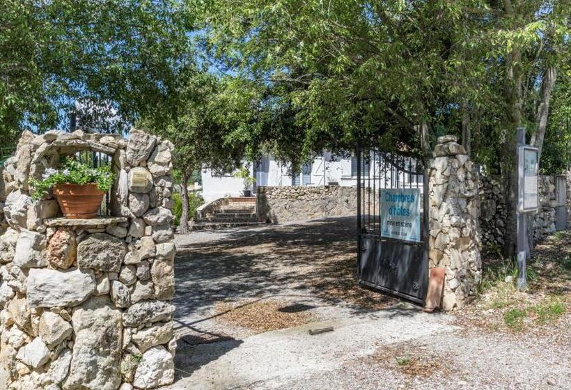 ベッドアンドブレックファースト Mise En Scène