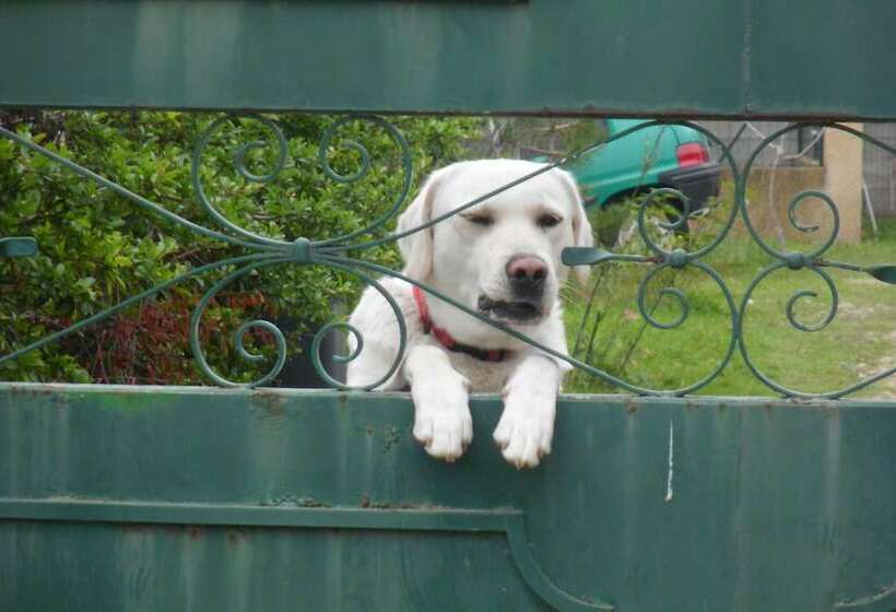 Пансион Le Petit Frigouye