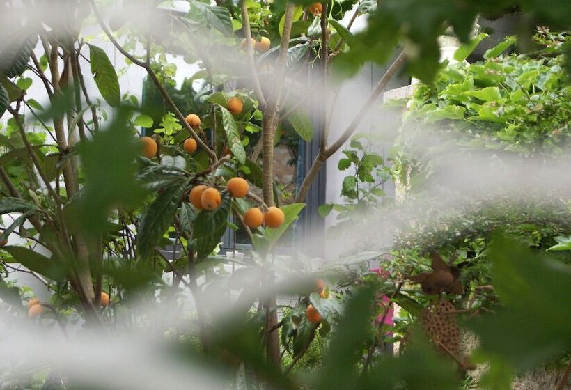 펜션 Maison D'hôtes Côté Cour