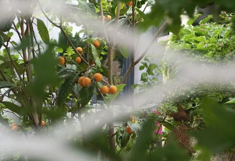 ペンション Maison D'hôtes Côté Cour