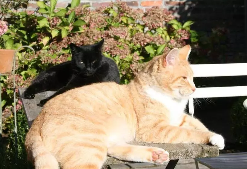 B&b La Chambre D'à Côté