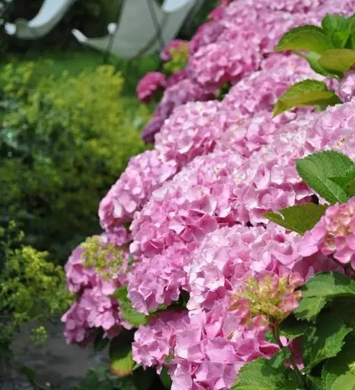 B&b La Chambre D'à Côté