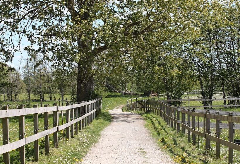 צימר Kildegaarden