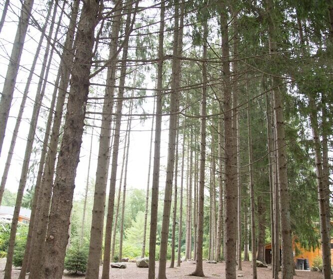 Chatfield Hollow Inn