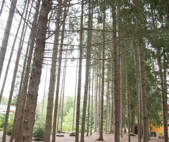 Chatfield Hollow Inn