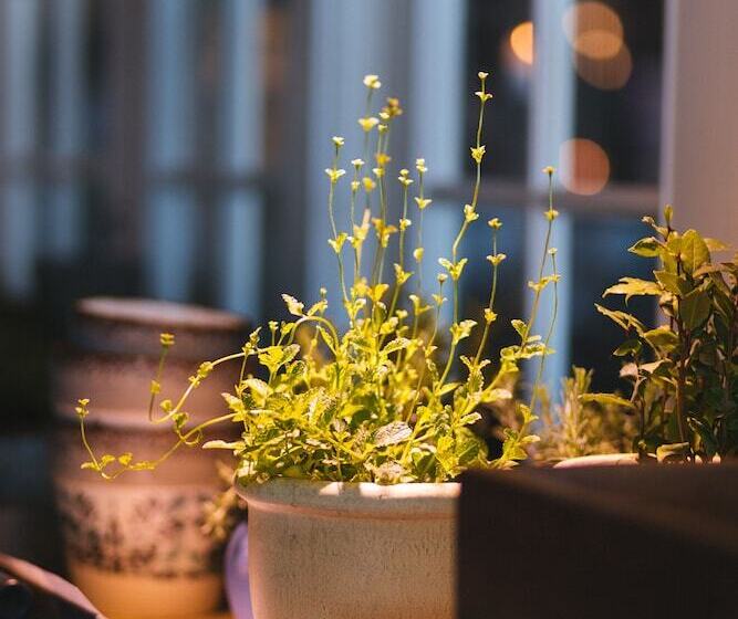 Hotel L Havsbaden I Grisslehamn