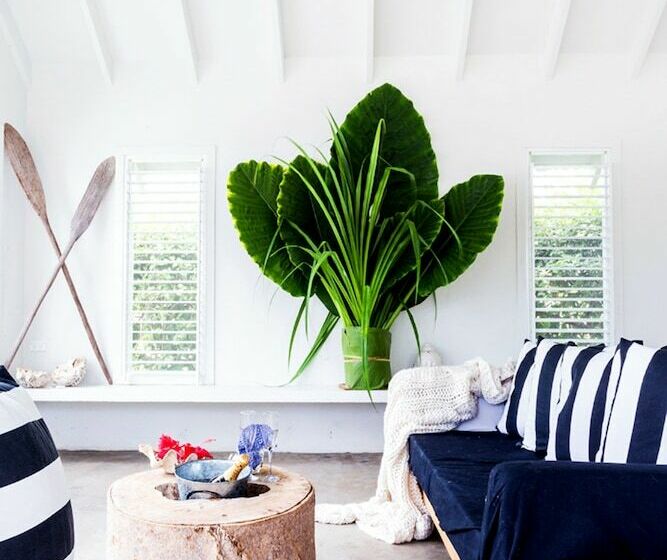 Hotel The Moso Vanuatu