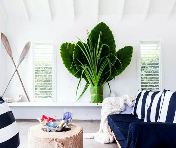 هتل The Moso Vanuatu