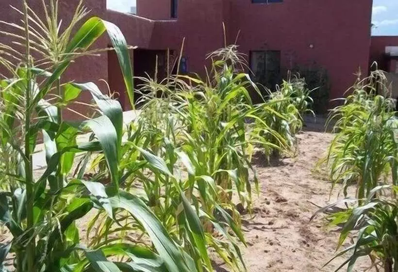 Motelli Hopi Cultural Center