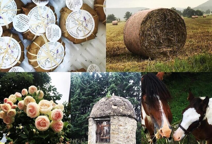 膳宿费 Auberge De L'abbaye