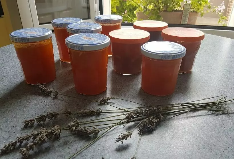 Majatalo La Montignonne