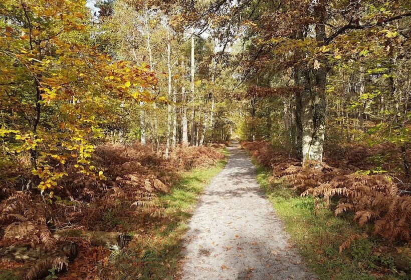 پانسیون La Montignonne