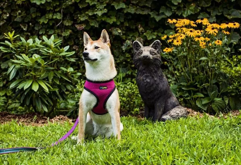 ペンション Moonriver Inn