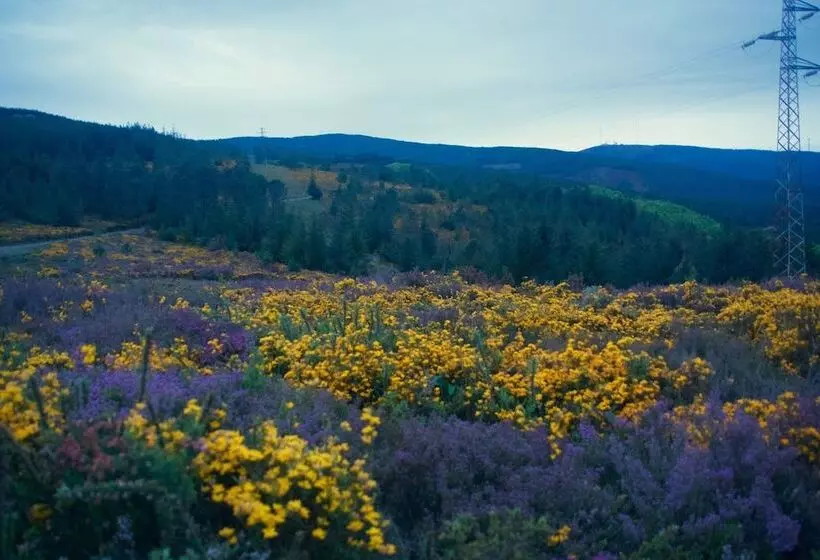 Portantiqua, Guest House