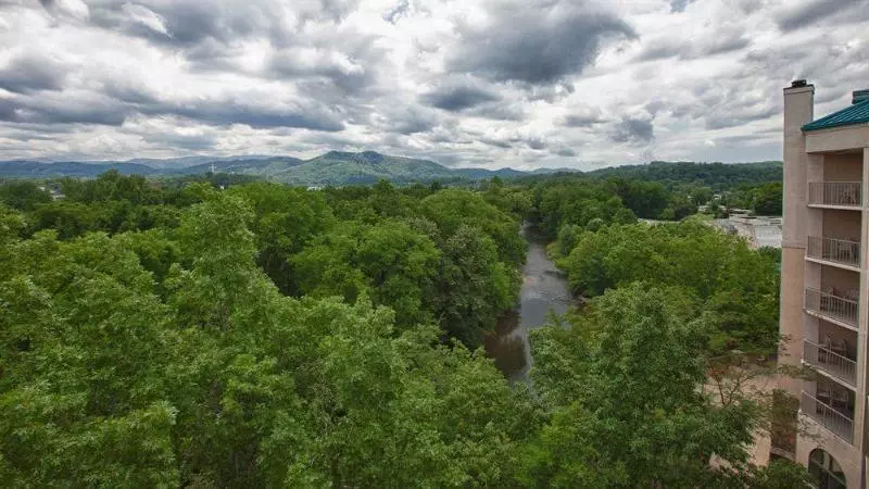 Music Road Resort Hotel And Inn