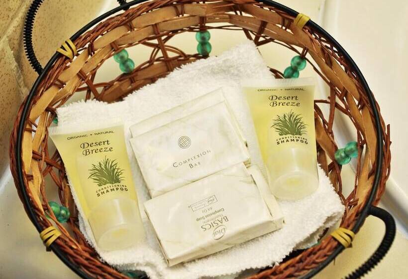 هتل National 9 Inn Showboat