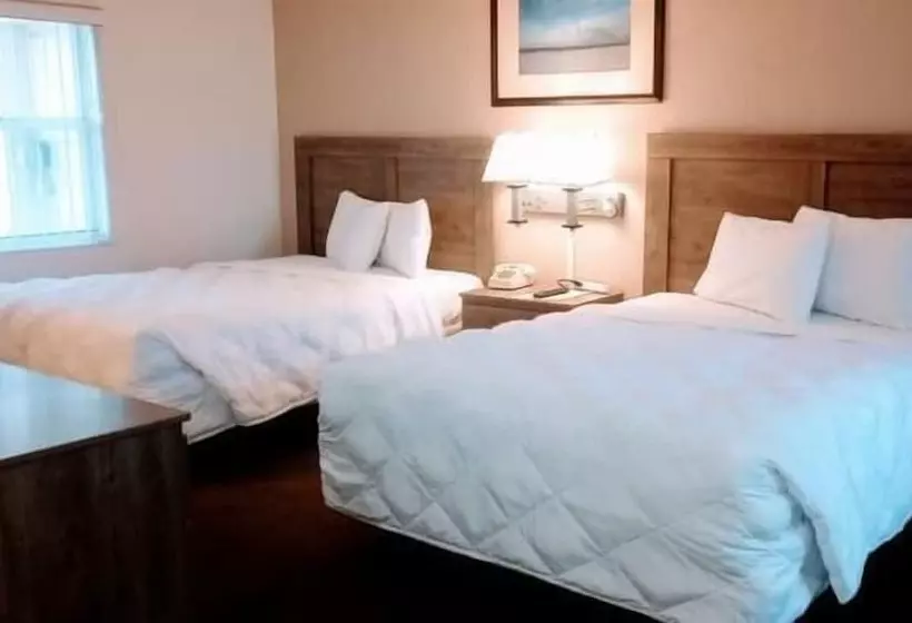 モーテル Ocean Court Beachfront