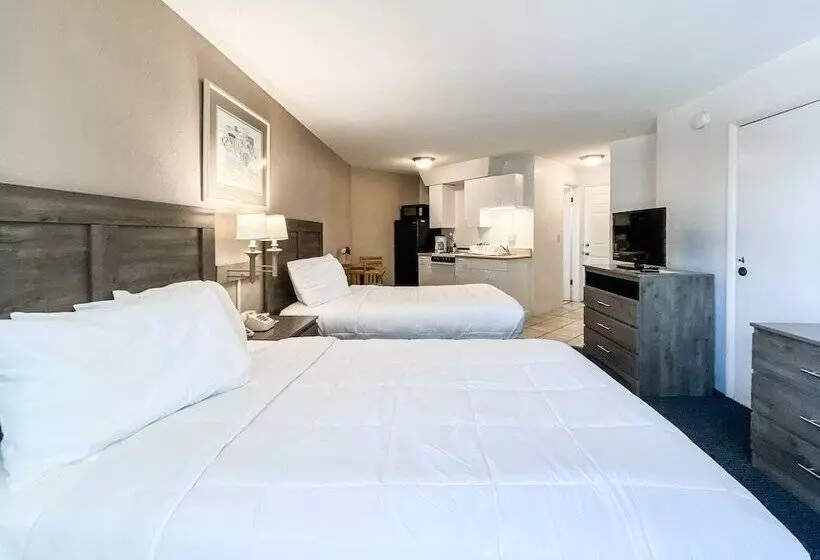 モーテル Ocean Court Beachfront