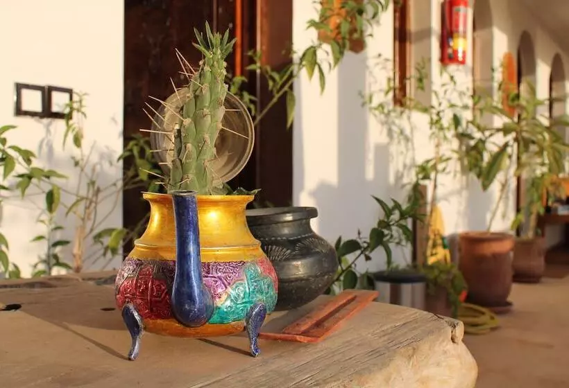 Majatalo Maison Darna Guesthouse