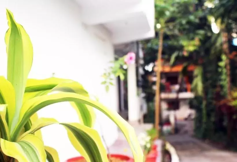 تختخواب و صبحانه The Lotus Home