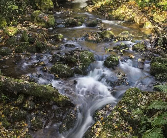 Dollar Apartments At 39