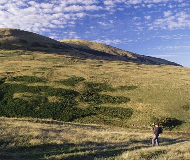 Dollar Apartments At 39